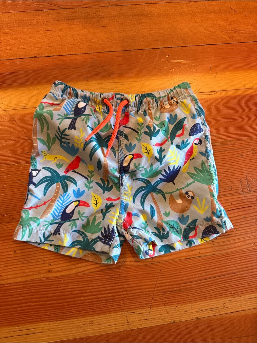 Baby Boden Light Blue Tropical Toucan Swim Trunks with Multicolor Accents